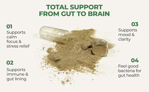 COREHEALTH Gut-Brain Synergy