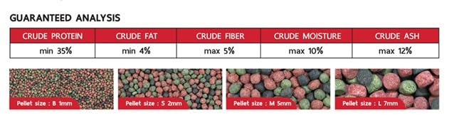 Image of Sakura Gold Super Premium Fish Food with Vitamin Complexes + Krill & Astaxanthin in Micro 1mm Pellet 100 Gm,Small