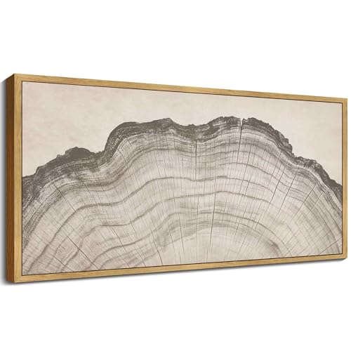 KUVIOKE Boho Vintage Antique Tree Ring Wall Art Framed Neutral