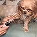 Orthopfote Ortho Trimmer Hund Nägel, OrthoTrimmer Pro, Krallenschleifer für Hunde, Wenig & Sanft Vibration Für Gleichmäßiges Kürzen, Effizient Pfotenpflege Zuhause für Hunden