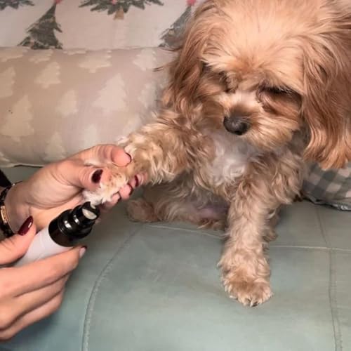 Orthopfote Ortho Trimmer Hund Nägel, OrthoTrimmer Pro, Krallenschleifer für Hunde, Wenig & Sanft Vibration Für Gleichmäßiges Kürzen, Effizient Pfotenpflege Zuhause für Hunden