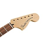 Fender Deluxe Series Stratocaster Neck - Pau Ferro Fingerboard