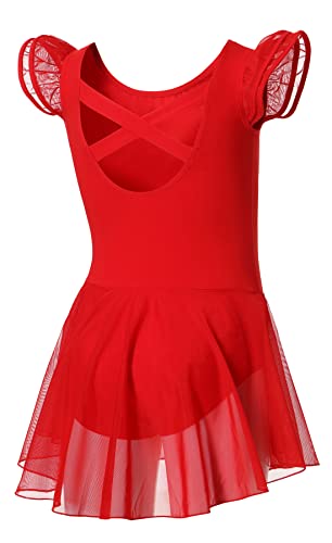 Image of DIPUG Ballet Leotards for Girls Ballet Leotard with Skirt Toddler Dance Leotards Flutter Sleeve and Criss-Cross Back