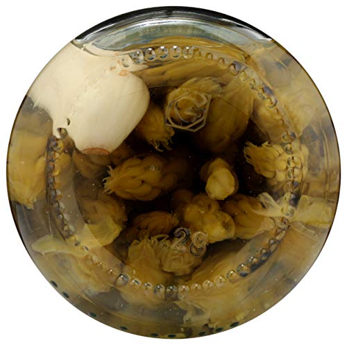 Tillen Farms Pickled Crispy Asparagus, 12 oz
