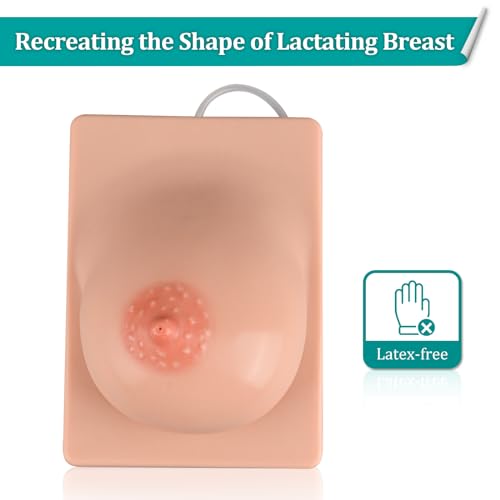 Image of Lactation Breast Model for Breastfeeding Massage Education, Artificial Breastfeeding Educational Tool for Lactation Consultant, Right