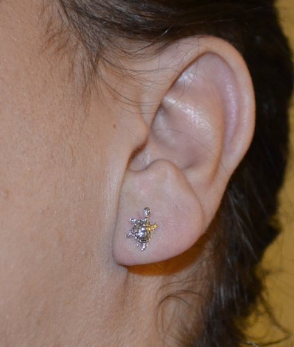 Silvercloseout Sterling Silver Small Turtle Womens Stud Earrings Rhodium Plated Silver Turtle Studs #TOP3