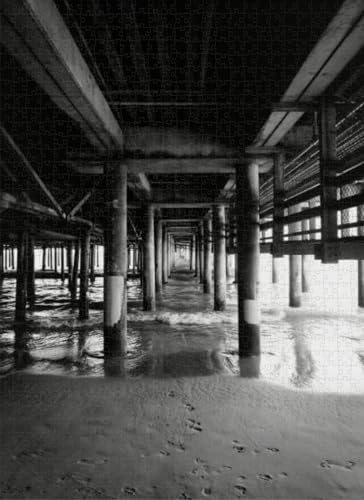 Black and White iew The Pylons Santa Monica pier Los Angeles Puzzles for Adults Educational Game Puzzle Thick Sturdy Hard Challenging Difficult Party Games Props 500 Pcs