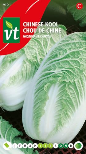 Col china Nagaoka F1 hybrid Seeds - La hortaliza más popular de Asia