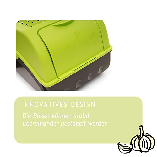 Gemüsebox Novaliv Kartoffel Aufbewahrungsbox 2X klein 3,5L grün