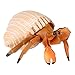 FTVOGUE Giocattolo di Simulazione del Granchio dell'eremita Giocattolo Giocattoli Animali realistici Regalo educativo per Bambini Giocattoli Modello di apprendimento per Bambini