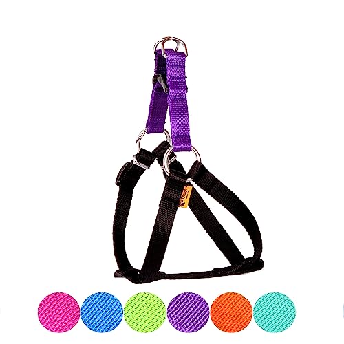 Dingo, imbracatura Energy Fred