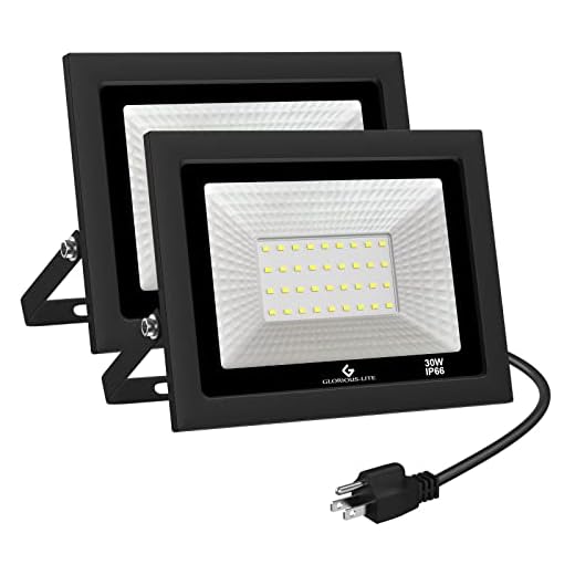 GLORIOUS-LITE LED Flood Lights Outdoor, 100W 10000LM Outside LED Work Light with Plug, 6000K Daylight White, IP66 Waterproof Portable Spot Security Lights for Garage, Yard, Garden, Playground(2 Pack)