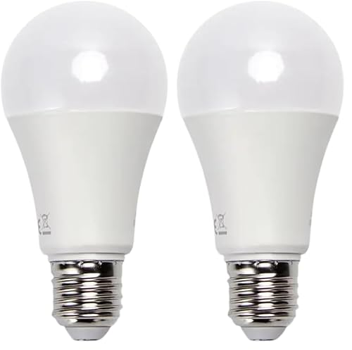 Bombilla LED E27 20W 6500K - Alta eficiencia energética, luz blanca fría ideal para iluminación general y espacios de trabajo. (Paquete de 2)