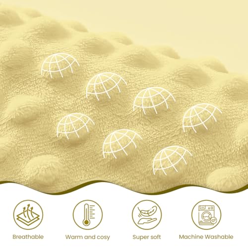 Image of SANDJEST Bee Minky Blanket 30 x 40 Inches, Gift for Christmas Birthday