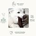 ChronoBalance® XXL Kaustange für Hunde ganze Stücke als Kauspielzeug: 100% Hirschgeweih für Hunde, Hundespielzeug, Leckerli Zahnpflege, Kausnack, Geweih Kauknochen, Natürlich ohne Zusätze (2er Set)