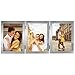 Price comparison product image Hama | Multi Photo Frame "Laval" | 3 of 13 x 18 cm | Silver