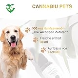 GLOBAL NATUREON® Cannabiu Pets Relax-Tropfen Lachsöl & Hanföl 500mg für Hunde und Katzen aus Samen, Tropfen für Reisen, Tierarztbesuche, Lärm und Fellpflege, Omega 3,6 & 9, 100% Natürlich