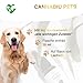 GLOBAL NATUREON® Cannabiu Pets Relax-Tropfen Lachsöl & Hanföl 500mg für Hunde und Katzen aus Samen, Tropfen für Reisen, Tierarztbesuche, Lärm und Fellpflege, Omega 3,6 & 9, 100% Natürlich