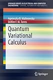 q significa renal calculus  Quantum Variational Calculus (SpringerBriefs in Electrical and Computer Engineering)