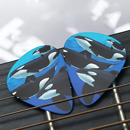Orca Killer Whale Lot de 12 médiators fins moyens et lourds pour guitares acoustiques électriques - Les Beatles, Paul McCartney, John Lennon, RIngo Starr, George Harrison Orca Killer Whale Lot de 12 médiators fins moyens et lourds pour guitares acoustiques électriques – Image 8