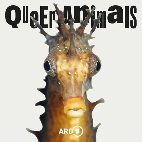 Seepferdchen - Ist das queerbaiting?