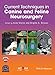 Current Techniques in Canine and Feline Neurosurgery