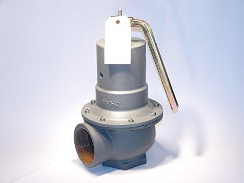 2" 0537-H01-HM0060 Cast Iron, 60 PSI Steam ASME Section IV Hot Water