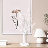 hogardeck 2FT 24LT Led Lighted Birch Tree, 24 Inch Small White Money Artificial Tree for Christmas D
