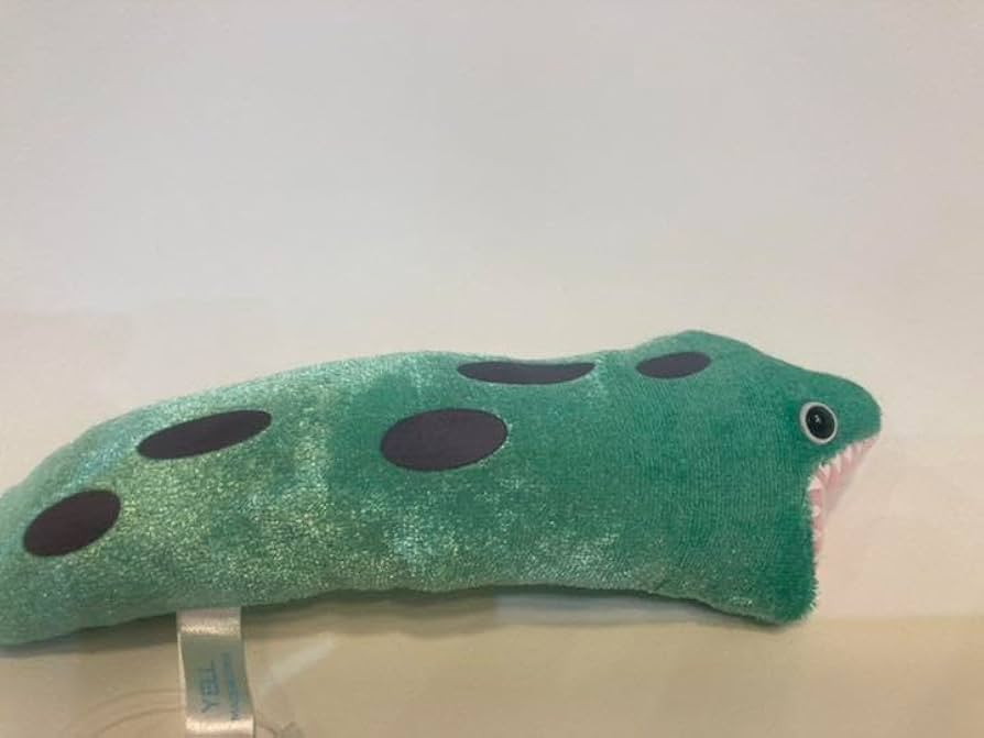 Amazon.co.jp: ウツボぬいぐるみ タグ付き 新鮮 17.5センチほど