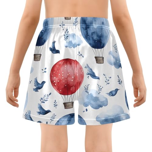 Toddler Boys Swimwear Swim Trunks with Compression Liner 4T Hot Air Balloon Blue3
