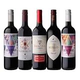 ワインセット 世界のぶどう飲み比べ 赤 5本 セット 詰め合わせ
