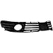 DAT AUTO PARTS Left Front Driver Side Fog Light Grille Cover Insert Replacement For 2001-2005 Volkswagen Passat Black Textured Plastic VW1038105 3B0853665LB41