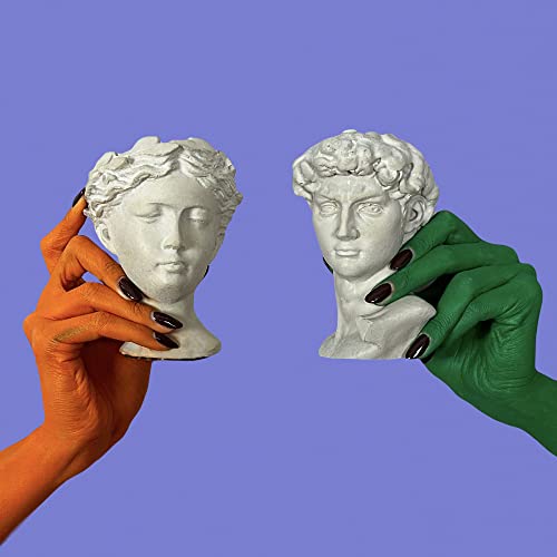 Unique Head Planter Succulent Pots - Greek Mythology Helen David Face Statue Bust Concrete Indoor Accessoires Decorative Office Sculpture Mini Flower Pot Outdoor Garden 5 Inch Set Of 2, Gray (Hd01) #TOP6