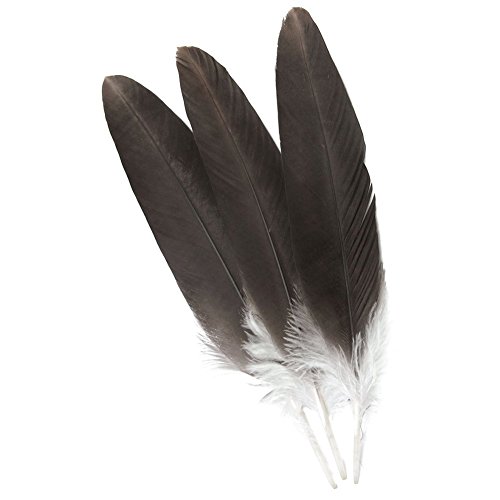 Eagle Feather，Hgshow 5pcs Imitation 12-14 inches (30-35cm) Rare and Precious Feathers