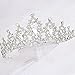 COCIDE Silver Tiaras and Crowns for Women Crystal Headband for Girl Clear Rhinestone Hair Accessories for Bride Wedding Bridal Prom Birthday Party Queen Princess Decorations Halloween Costume Cosplay