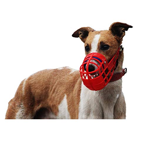 Adjustable Dog Muzzle for Greyhound & Whippet, Red, L