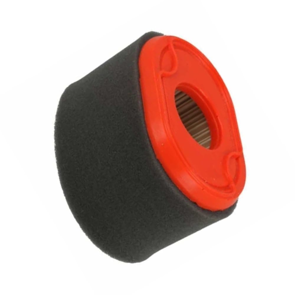 Filtre à air combo 796970 avec mousse pour moteur de tondeuse
