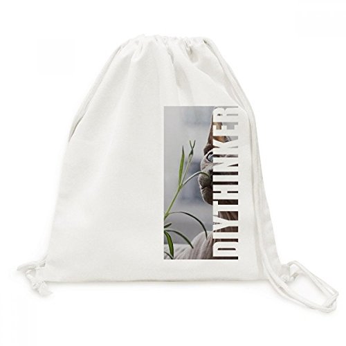Sac à dos en toile gris animal sac à cordon de serrage léger et pliable pour le sport