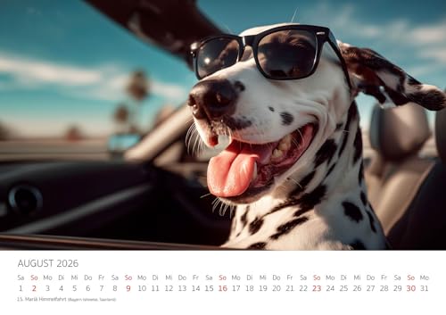 Edition Seidel Premium Kalender Dalmatiner Hundespaß gepunktet 2026 Format DIN A3 Wandkalender Hundekalender Hund Welpe Tierkinder Hunderasse Haustier niedlich