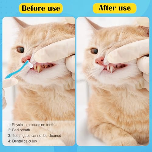 VZZNN 6 peças de escova de dentes dupla face para gatos, escovas de limpeza de dentes de gato com al
