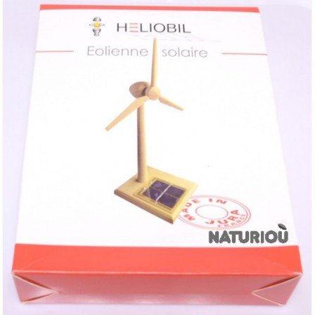 Eolienne solaire en bois
