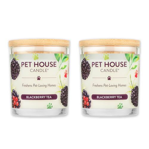 BlackBerry Tea Candle Pet Friendly Plant-Based Wax, 2 Pack Pet House