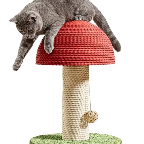 Image of Cat Toy Scratching Post with Roller Ball Track, Catnip Balls & Feather Teaser - Sisal Scratcher with Sturdy Base, Interactive Toy for Cat for Indoor- Mushroom Style