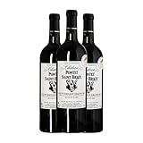 Château Saint Brice. Pontet Saint-Émilion Grand Cru 75 cl Vino tinto (Caja de 3 Botellas de 75 cl)