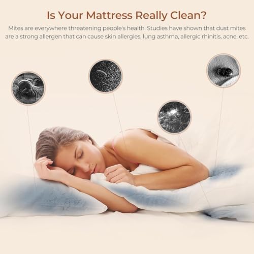 Lira Per Tromba Da Marcia - Clip Per Spartiti, Leggera, In Metallo