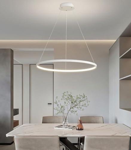 Lampe suspendue ronde LED variable avec télécommande pour salon LWX - 7