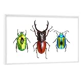 Auch mit Rahmen: Jedes Poster ist auch mit Kunststoffrahmen erhältlich damit du dein Wandbild direkt Zuhause aufhängen kannst!