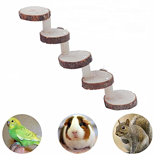 KLMYTCWSD Échelle pour Hamsters,Pont D'Échelle pour Animaux De Compagnie en Bois Accessoires pour Petits Animaux Guinée Pig Échelle Escalade Mur Rongeur Échelle Natural Rampe Cover