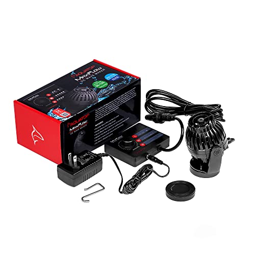 List of Top Ten Best Fish For A 55 Gallon Freshwater Tank Top Picks