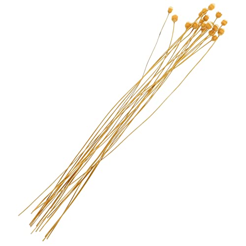 BIUDECO Essential Oil Diffuser Sticks 20pcs Scented Sticks Dried Flower Diffuser for Room Aroma
